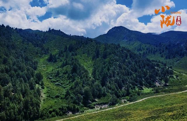 【小陇画报·406期】红石窝草原的秋 藏在高山上的诗意