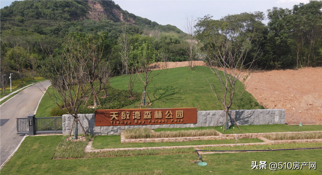 焕新开放！三个高颜值公园，即将扎堆上线~