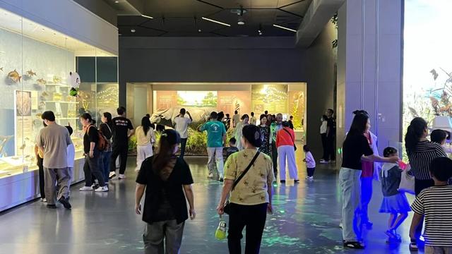 咔嚓！在岳阳，跟全国人民来张“全家福”！