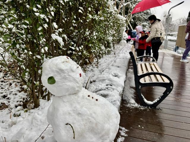瑞雪飘然而至中国海滨城市青岛