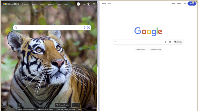 搜索引擎世纪大战：Bing vs Google，谁能抢到你浏览器地址栏的C位