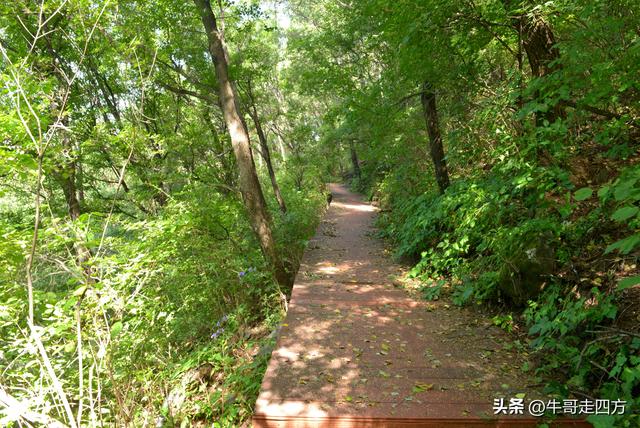 河北百草畔（中）：览尽三山舒望眼，行穿百草浣尘襟