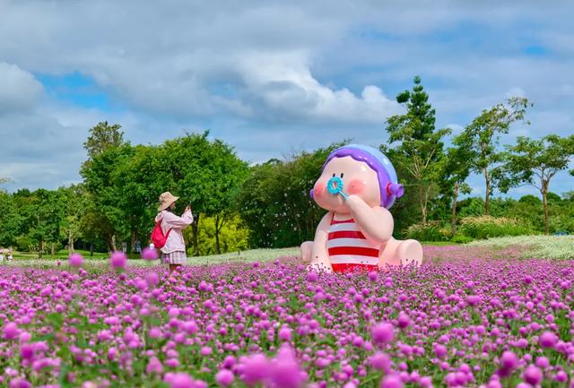 被厦门的秋天圈粉了!金色花海、粉色“云霞”……周末就出发→