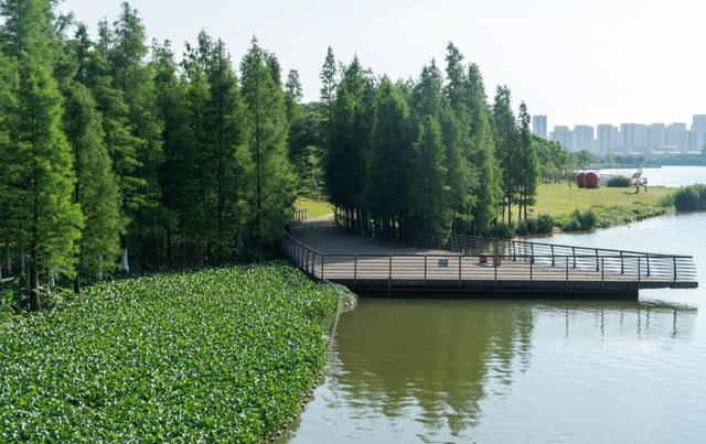 无锡最大的湿地公园，风景优美、适合露营，门票免费