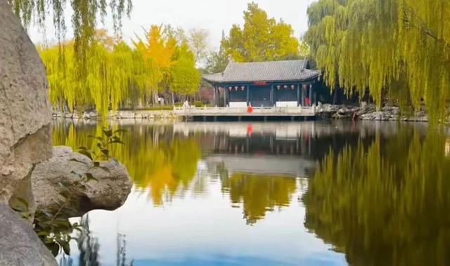 临沂初冬“热”出圈！打卡攻略赶紧码