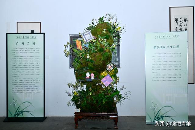 周末去草堂 赴一场兰花盛宴
