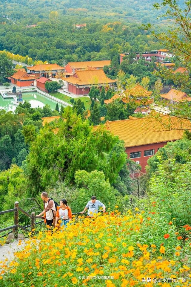 武汉这条登山花路爆火出圈