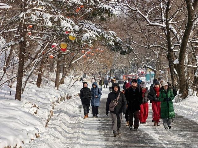 雪落千山披银装 八方游客赏胜景