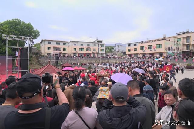 每日一村:茶岗村——茶香畲韵交融,山海间的文旅活力地