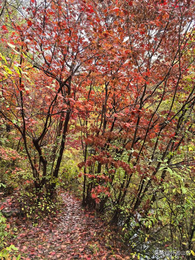 2025辽宁赏秋之旅日记(3)——游览洋湖沟和老边沟