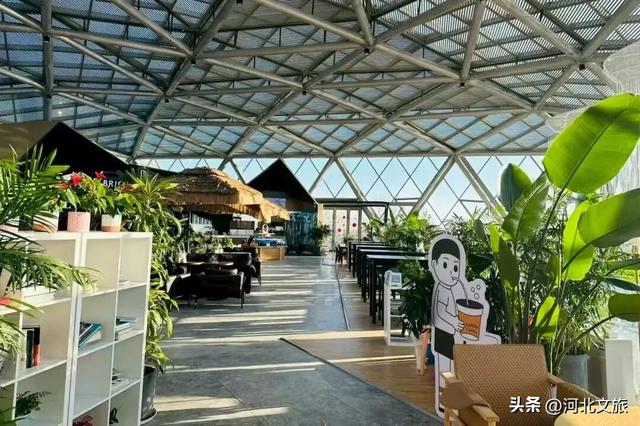 消费潜能激发：北戴河新区小众经济成增长引擎