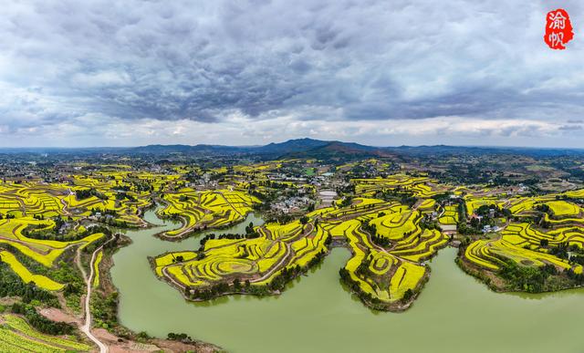 重庆，你糊涂呀！这么美的油菜花海都不宣传，感觉比云南罗平还美