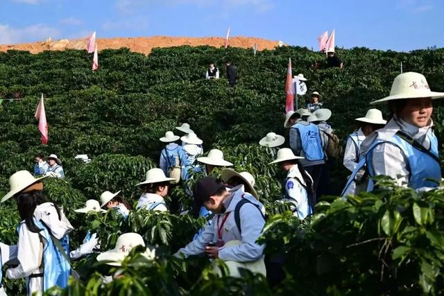 青春飞扬·有你必咖！等你到保山寻一抹咖香→