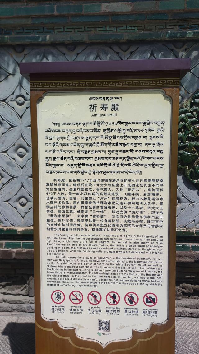 藏传佛教格鲁派四大寺院之一，西宁塔尔寺，碰巧免费进去了