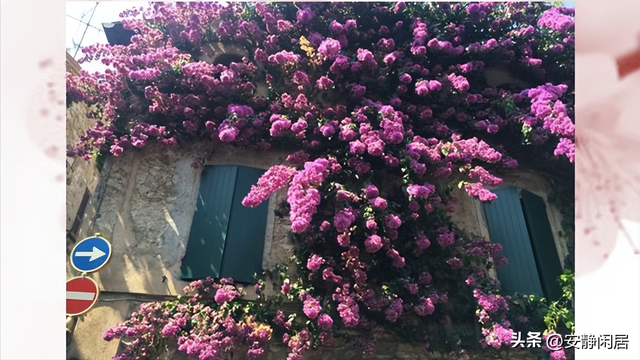 梦想中的世外桃源——意大利小镇西尔米奥奈