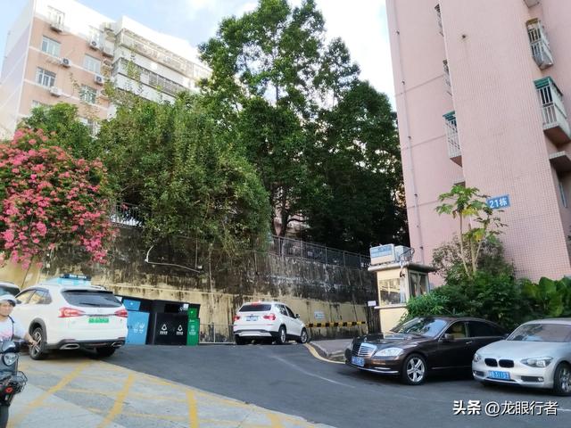 从地铁口出发，游逛刚刚开放的鲲鹏径二号及三号桥