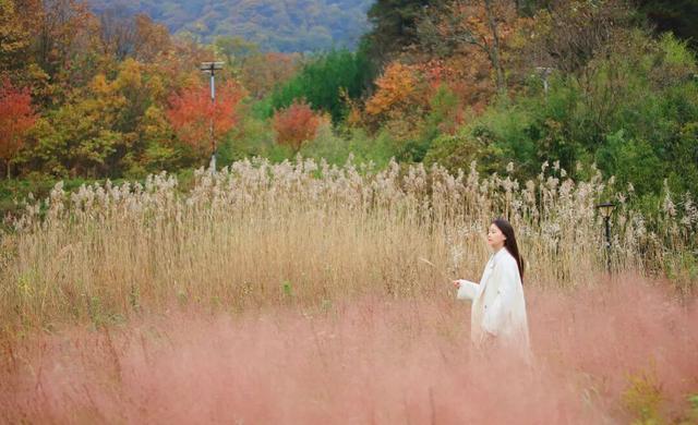 来广元月坝，解锁一场“多巴胺”初冬