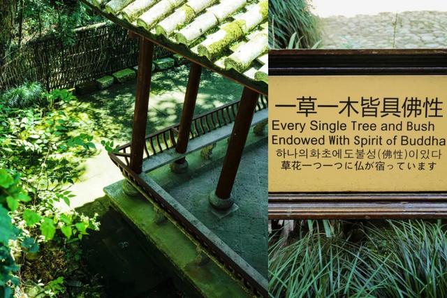 南北方温差大蹦迪？但这个城市正是出游好时候！