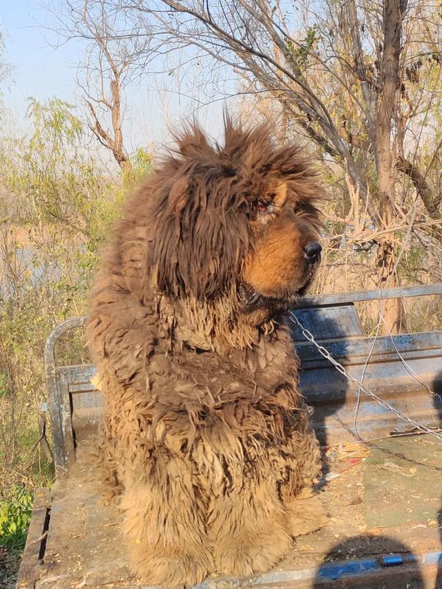 记录德州:岔河河堤上的大集,人山人海,异常热闹