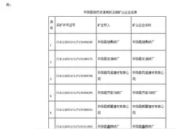 中阳县自然资源局公告图片