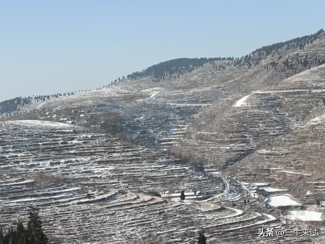 无为在歧路，2025之经行