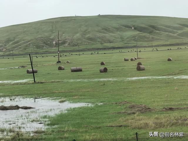 从满洲里前往额尔古纳市，分享公共交通乘车和住宿攻略（九）