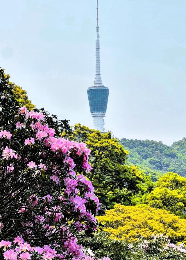 世界上只有广东才有的十四大绝美风景！