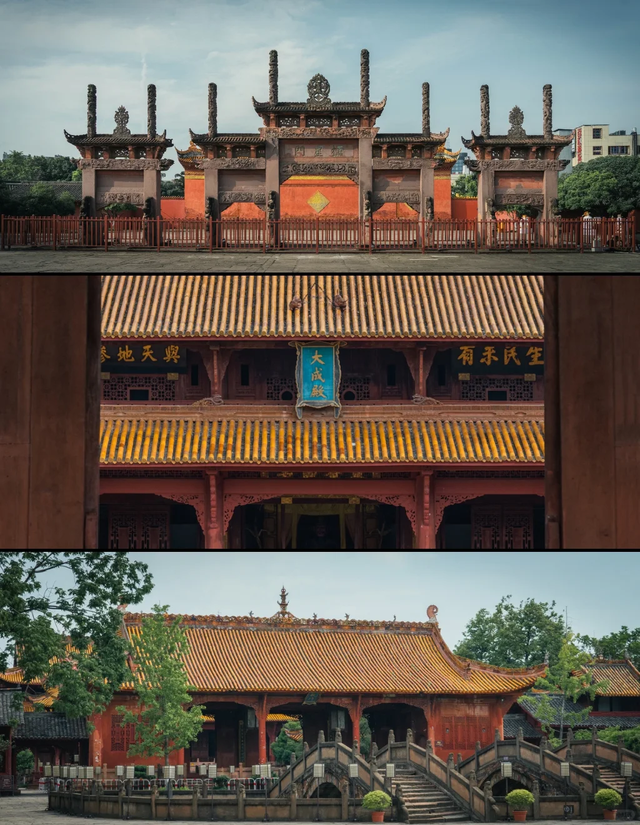 先收藏！成都1h直达最美水杉公园，小众人少、景美出片！