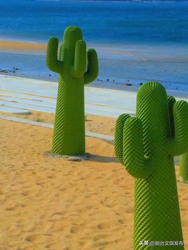 【乐游烟台】目测要火！烟台这座小城最近好看得离谱