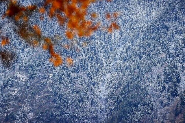 四川这个地方的初冬，是彩色的！