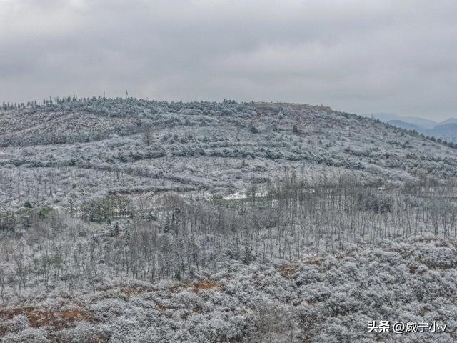 琼枝映草海 雾凇绘高原——威宁草海北坡生态公园现冬日限定仙境
