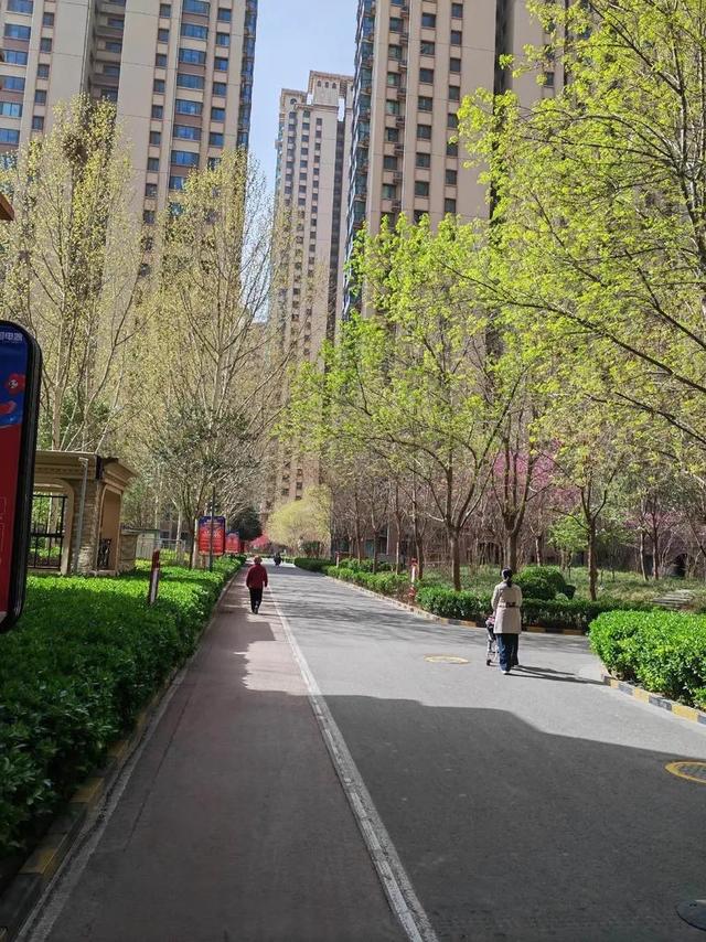 都说太原比石家庄还要名气大，两地深度游后，才发现差距真的很大