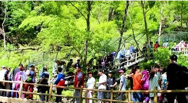 闹大了！大量日本游客涌入北京，打着旅游幌子不去旅游不吃美食