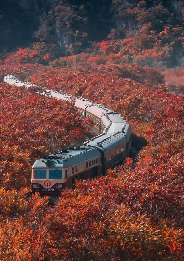 9~11月旅行推荐！全国13处绝美地上线“秋色限定”，现在计划刚好