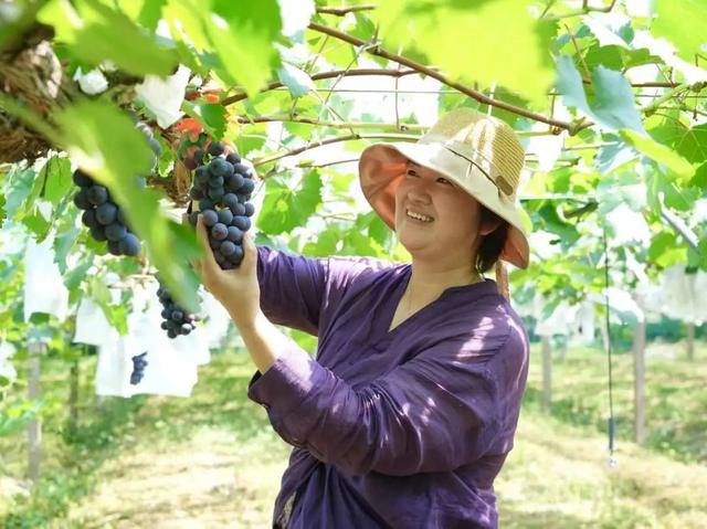 出发！江阴夏日采摘地图来了！