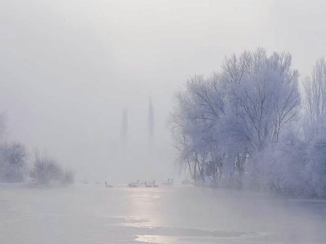 伊宁天鹅泉湿地公园：冬日里的生态诗画