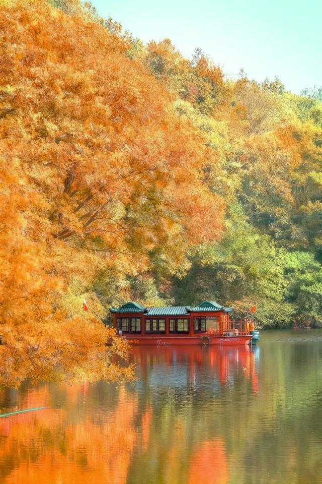 黄陂秋日文艺之旅 | 玩出“文艺范天花板”！