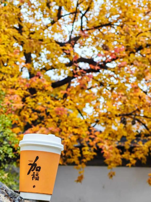 避开人从众！门头沟这里的秋，人少景美，一秒治愈！