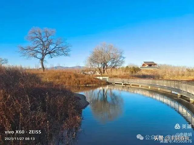 初冬北京玉河湿地公园游记|申艳娟