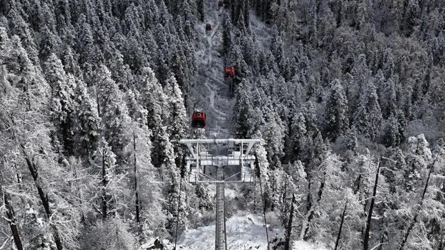 不止4860米！达古冰川“海拔梯度”漫游指南