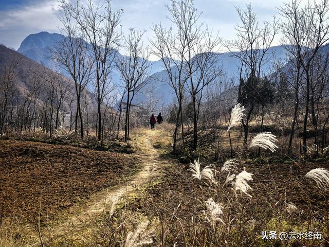 观山景看荻花，这里大概是蓝田最出片的地方了