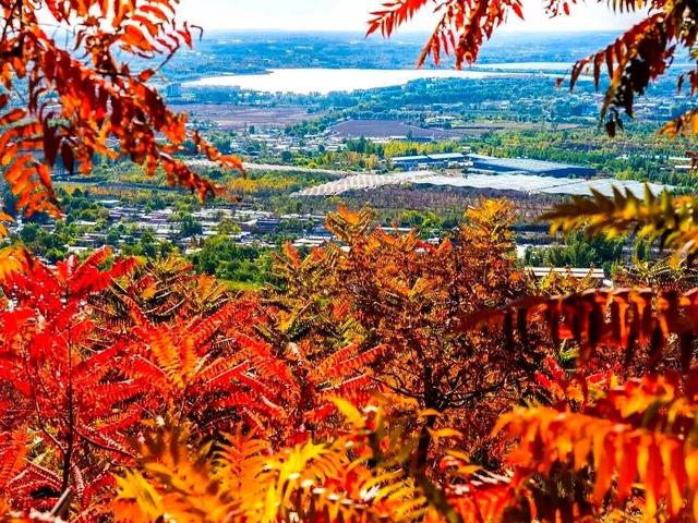 美翻了！丰台这些“秋季限定”进入倒计时→