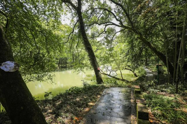 它凭什么成为无数人的“梦里老家”？