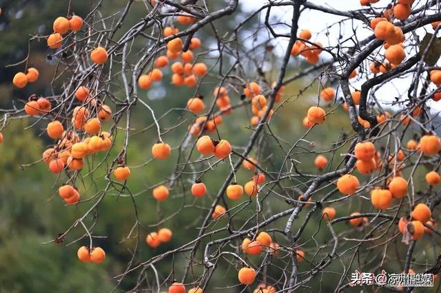 被甘肃“暖”到了！