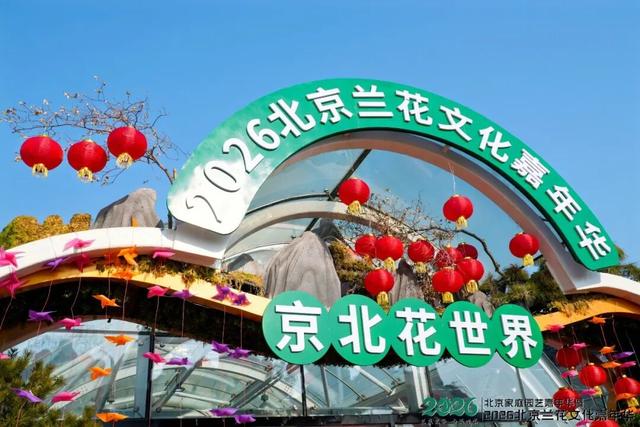 来逛超大冬日花果游园会，2026北京兰花文化嘉年华在昌平开幕 | 动态