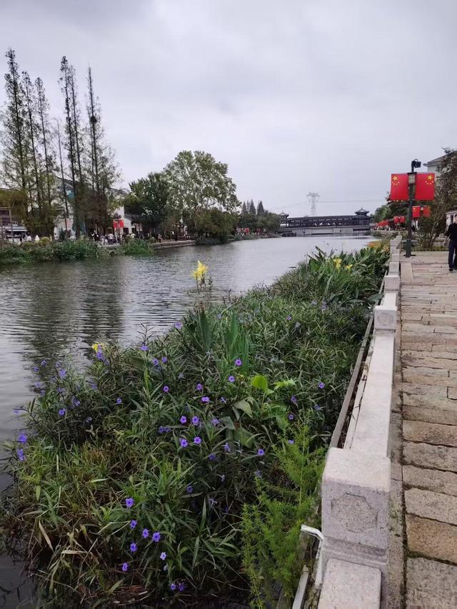 水晶晶的南浔古镇.别样的年华