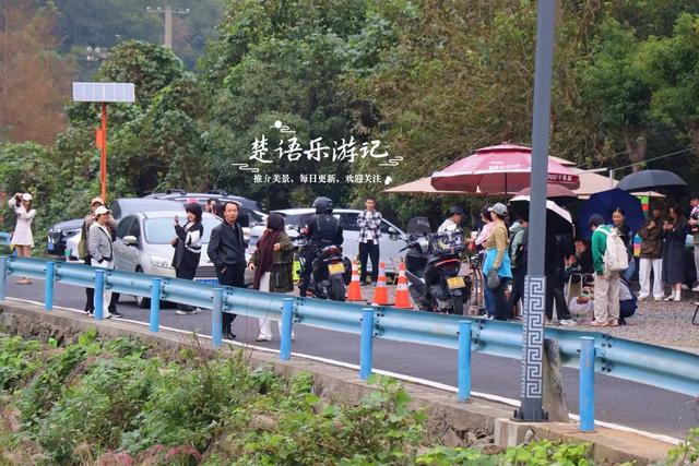 宁波这个新“阿泰勒”火了，游客络绎不绝，每人看了都会惊叹一声