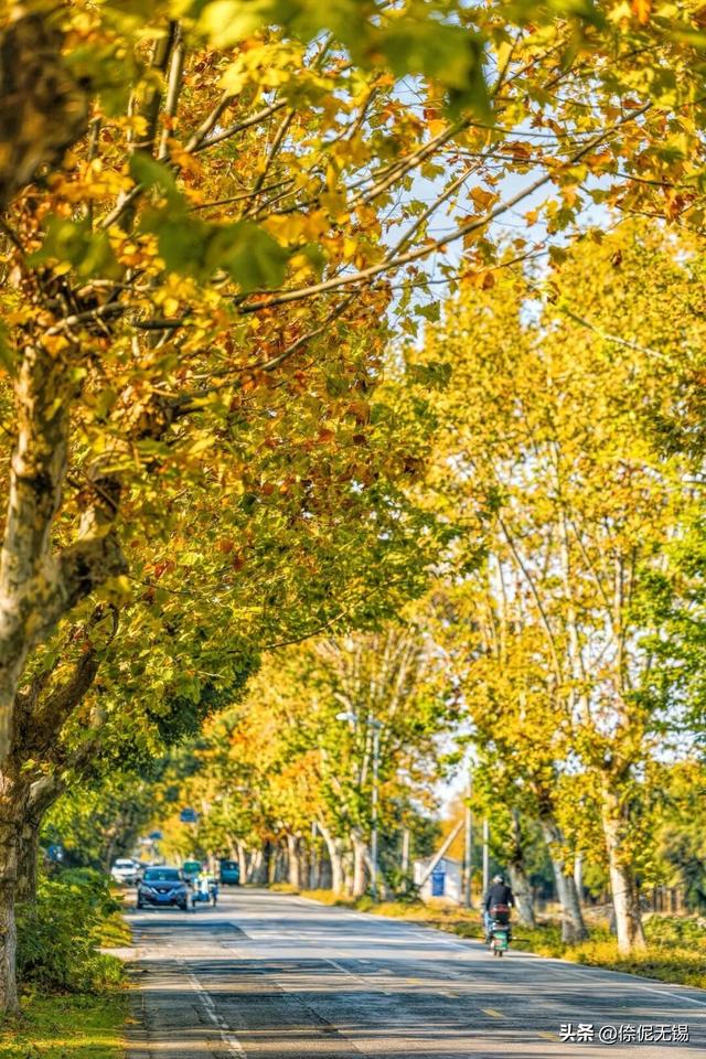 拥堵预警！这周末大家都去......