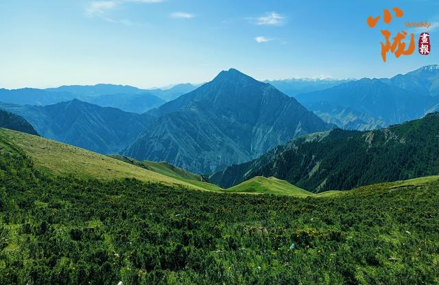 【小陇画报·406期】红石窝草原的秋 藏在高山上的诗意