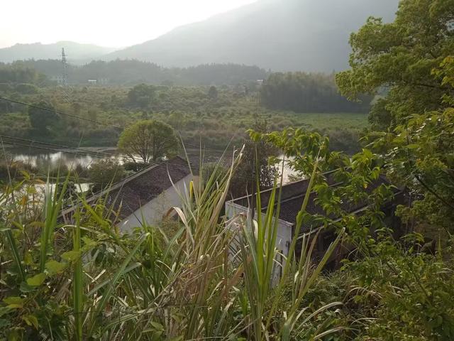 浏河滚滚欲留春，独向芳踪觅雅意——徒步小溪河散记（九）